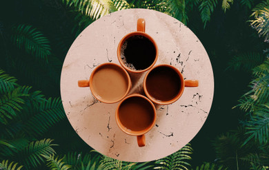 What Is the Difference Between Coffee, Tea, and Kava? What Is the Difference Between Coffee, Tea, and Kava?
