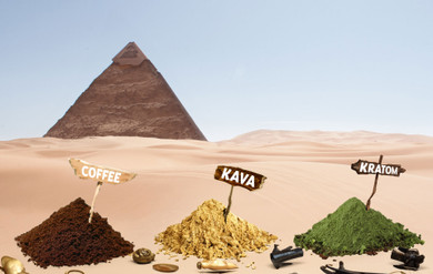 What's the Difference Between Kava vs Kratom vs Coffee? What's the Difference Between Kava vs Kratom vs Coffee?