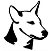 DINGO GUN PRODUCTS