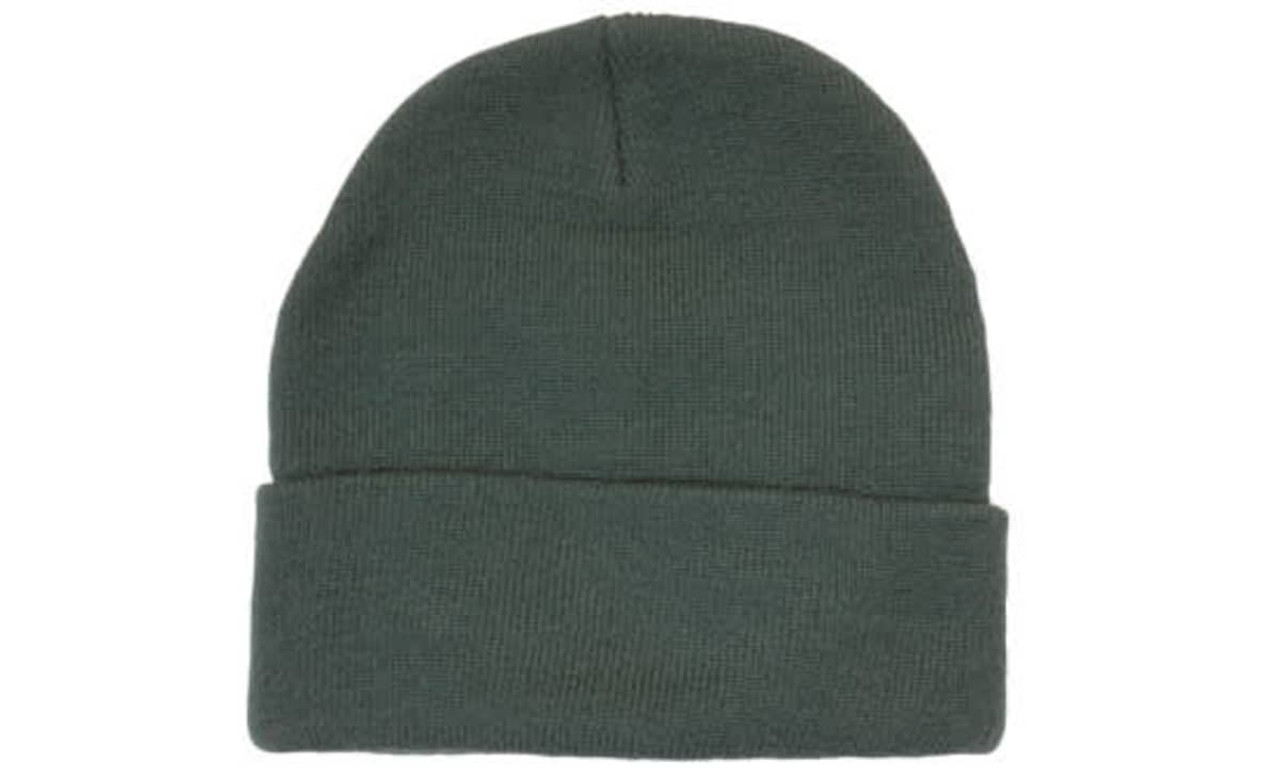 A green acrylic beanie with a fold-up cuff and a seamless crown. It features a branding logo.