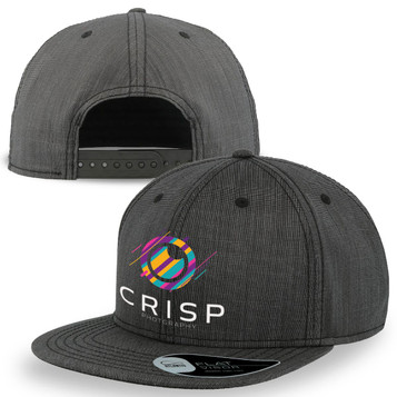 A grey cap featuring a branded logo on the front and back. The cap has a flat brim and snapback closure.