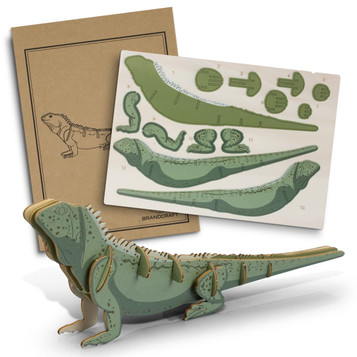 A wooden model of a Tuatara in green and brown, with assembly instructions and parts displayed on a card. A wooden model of a Tuatara in green and brown, with assembly instructions and parts displayed on a card.