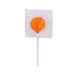 An orange lollipop wrapped in clear plastic, with a white stick. An orange lollipop wrapped in clear plastic, with a white stick.