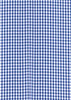 A blue and white checkered fabric pattern, featuring small squares, suitable for a button-up shirt design.