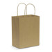 A medium brown paper carry bag with two handles and a plain design. A medium brown paper carry bag with two handles and a plain design.