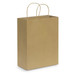 A large brown paper carry bag with two handles.
