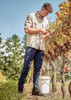 A man in a beige long sleeve outdoor shirt and navy pants is tending to grapevines in a vineyard. A man in a beige long sleeve outdoor shirt and navy pants is tending to grapevines in a vineyard.