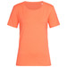 A women's crew neck t-shirt in bright orange with short sleeves and a round neckline. Features a small logo. A women's crew neck t-shirt in bright orange with short sleeves and a round neckline. Features a small logo.