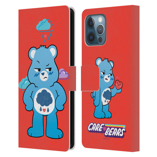 Care Bears Characters Grumpy Leather Book Wallet Case Cover For Apple iPhone 12 Pro Max