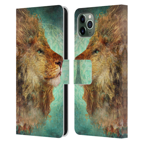 Jena DellaGrottaglia Animals Lion Leather Book Wallet Case Cover For Apple iPhone 11 Pro Max