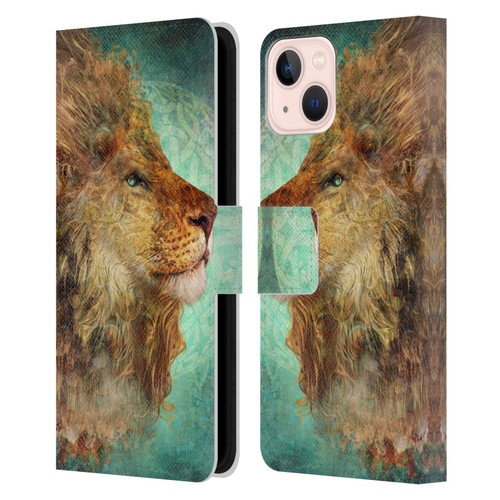 Jena DellaGrottaglia Animals Lion Leather Book Wallet Case Cover For Apple iPhone 13