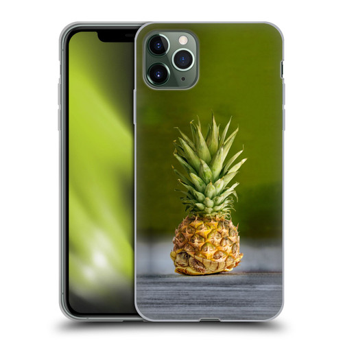 Pixelmated Animals Surreal Pets Pineapple Turtle Soft Gel Case for Apple iPhone 11 Pro Max