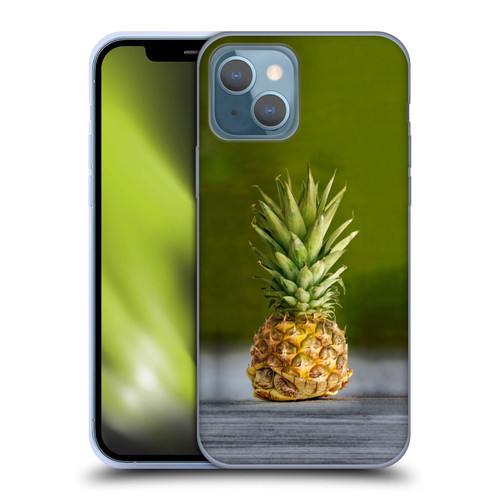 Pixelmated Animals Surreal Pets Pineapple Turtle Soft Gel Case for Apple iPhone 13