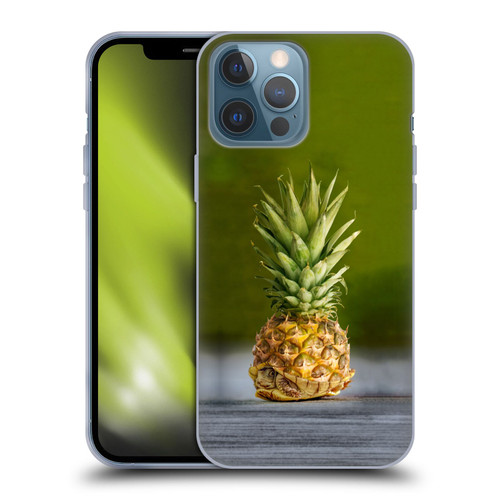 Pixelmated Animals Surreal Pets Pineapple Turtle Soft Gel Case for Apple iPhone 13 Pro Max