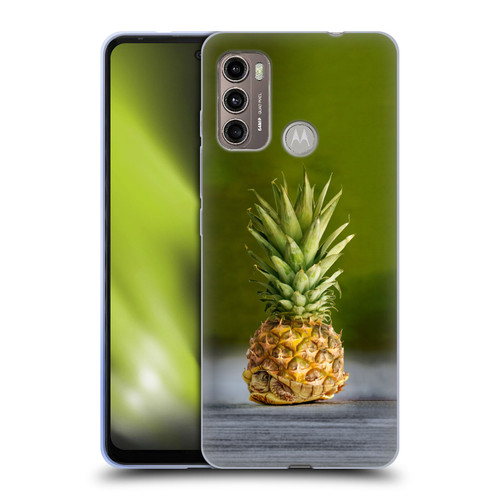 Pixelmated Animals Surreal Pets Pineapple Turtle Soft Gel Case for Motorola Moto G60 / Moto G40 Fusion
