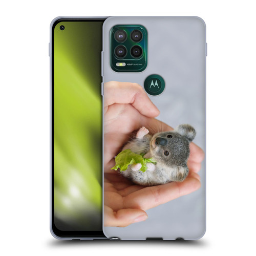 Pixelmated Animals Surreal Pets Baby Koala Soft Gel Case for Motorola Moto G Stylus 5G 2021