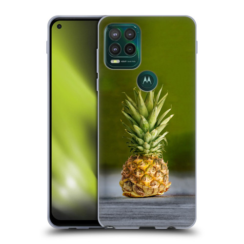 Pixelmated Animals Surreal Pets Pineapple Turtle Soft Gel Case for Motorola Moto G Stylus 5G 2021
