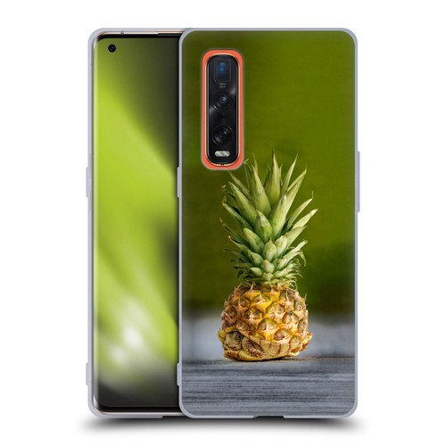 Pixelmated Animals Surreal Pets Pineapple Turtle Soft Gel Case for OPPO Find X2 Pro 5G