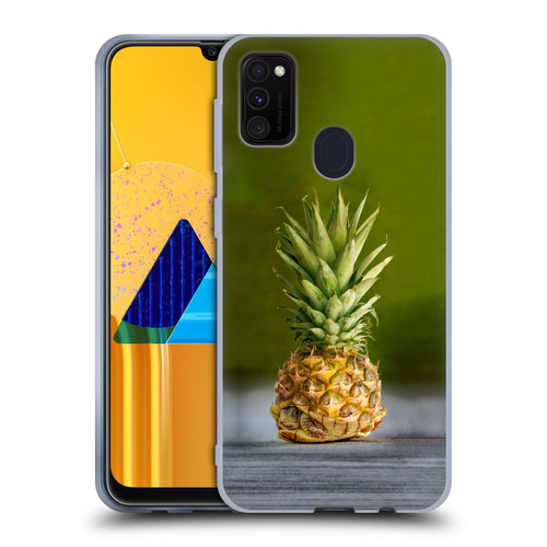 Pixelmated Animals Surreal Pets Pineapple Turtle Soft Gel Case for Samsung Galaxy M30s (2019)/M21 (2020)