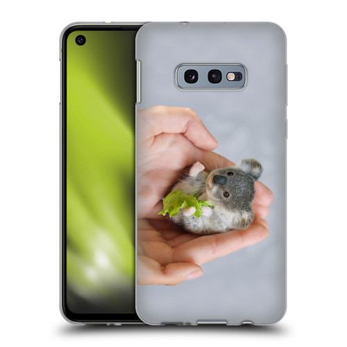 Pixelmated Animals Surreal Pets Baby Koala Soft Gel Case for Samsung Galaxy S10e