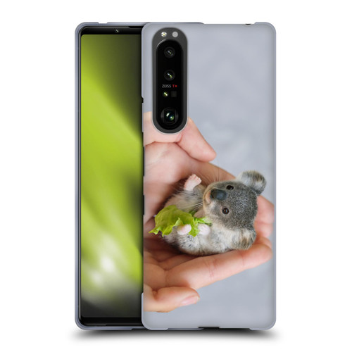 Pixelmated Animals Surreal Pets Baby Koala Soft Gel Case for Sony Xperia 1 III