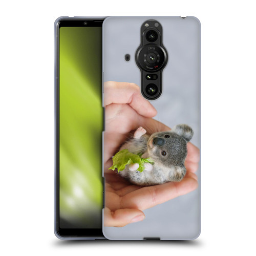 Pixelmated Animals Surreal Pets Baby Koala Soft Gel Case for Sony Xperia Pro-I