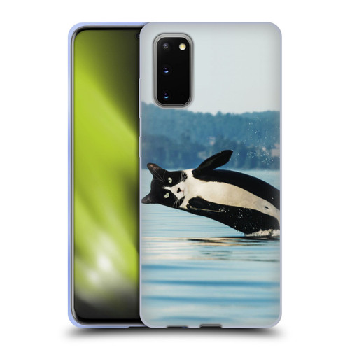 Pixelmated Animals Surreal Wildlife Orcat Soft Gel Case for Samsung Galaxy S20 / S20 5G