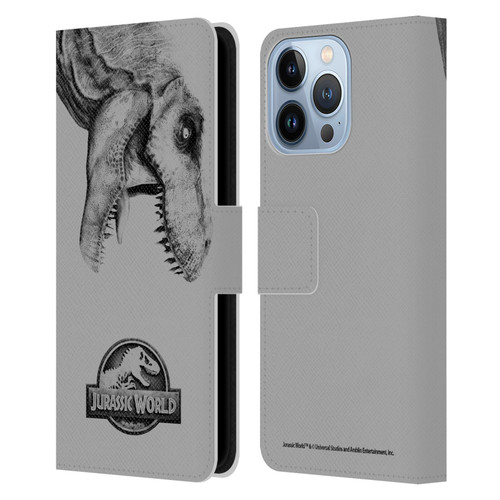 Jurassic World Fallen Kingdom Logo T-Rex Leather Book Wallet Case Cover For Apple iPhone 13 Pro