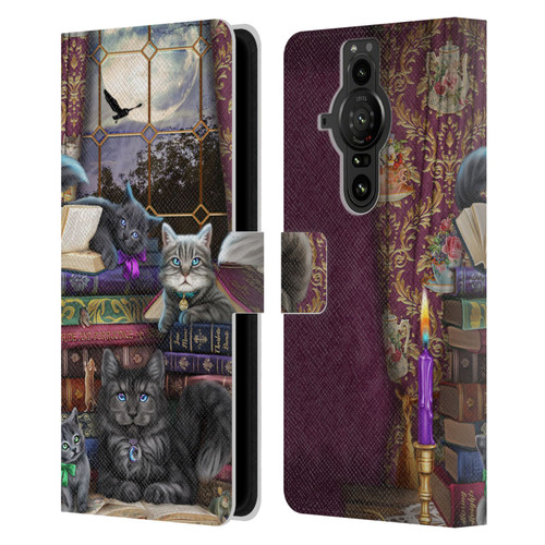 Brigid Ashwood Cats Storytime Cats And Books Leather Book Wallet Case Cover For Sony Xperia Pro-I