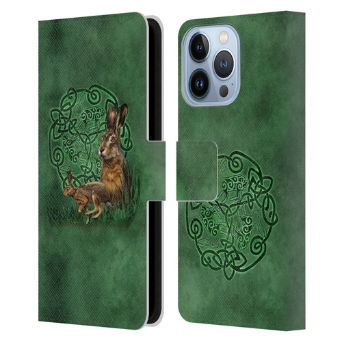 Brigid Ashwood Celtic Wisdom 2 Hare Leather Book Wallet Case Cover For Apple iPhone 13 Pro