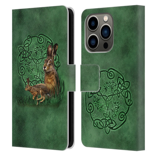 Brigid Ashwood Celtic Wisdom 2 Hare Leather Book Wallet Case Cover For Apple iPhone 14 Pro