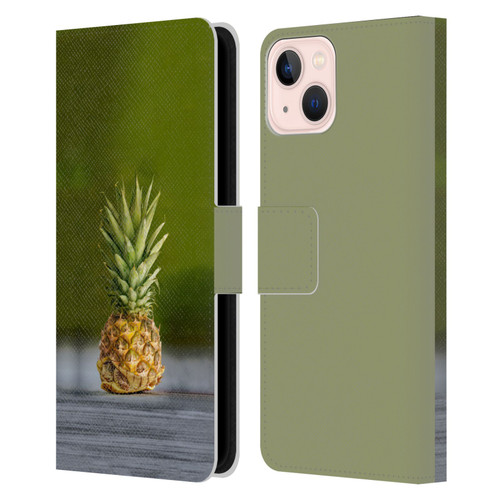 Pixelmated Animals Surreal Pets Pineapple Turtle Leather Book Wallet Case Cover For Apple iPhone 13