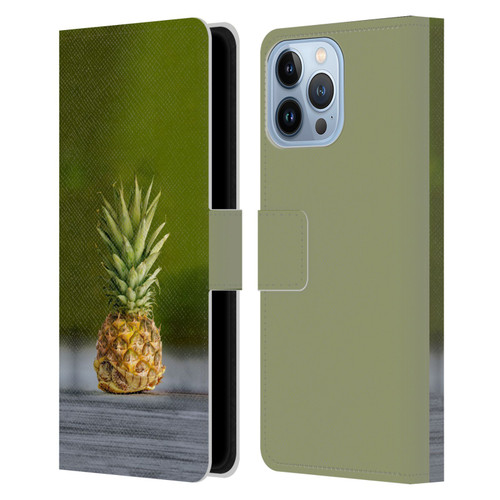 Pixelmated Animals Surreal Pets Pineapple Turtle Leather Book Wallet Case Cover For Apple iPhone 13 Pro Max