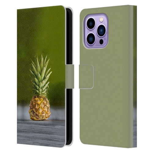 Pixelmated Animals Surreal Pets Pineapple Turtle Leather Book Wallet Case Cover For Apple iPhone 14 Pro Max