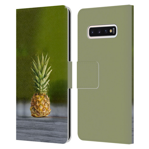 Pixelmated Animals Surreal Pets Pineapple Turtle Leather Book Wallet Case Cover For Samsung Galaxy S10