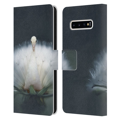 Pixelmated Animals Surreal Pets Peacock Wish Leather Book Wallet Case Cover For Samsung Galaxy S10+ / S10 Plus