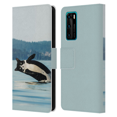 Pixelmated Animals Surreal Wildlife Orcat Leather Book Wallet Case Cover For Huawei P40 5G