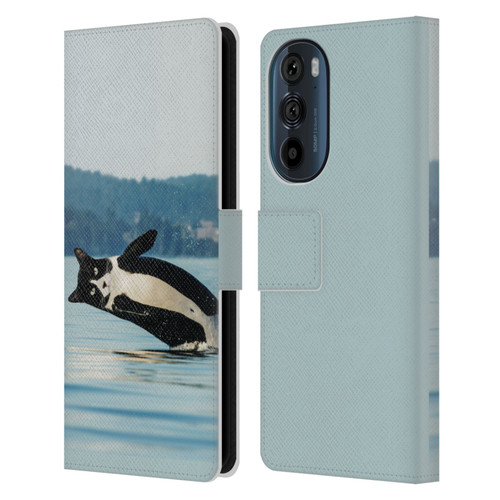 Pixelmated Animals Surreal Wildlife Orcat Leather Book Wallet Case Cover For Motorola Edge 30