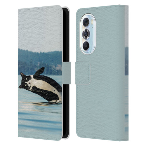 Pixelmated Animals Surreal Wildlife Orcat Leather Book Wallet Case Cover For Motorola Edge X30