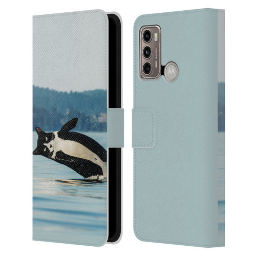 Pixelmated Animals Surreal Wildlife Orcat Leather Book Wallet Case Cover For Motorola Moto G60 / Moto G40 Fusion