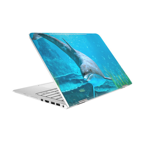 Simone Gatterwe Dolphins Seeking Starfish Vinyl Sticker Skin Decal Cover for HP Spectre Pro X360 G2