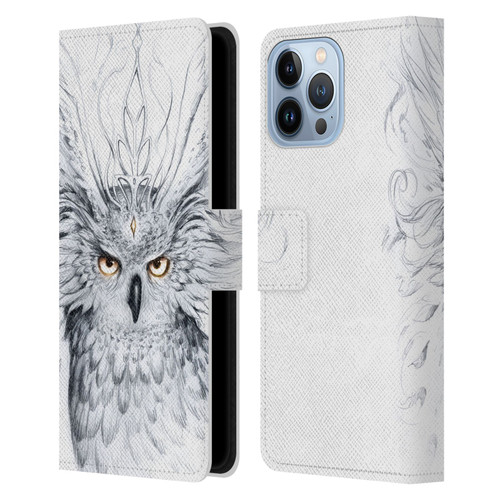 Jonas "JoJoesArt" Jödicke Wildlife Owl Leather Book Wallet Case Cover For Apple iPhone 13 Pro Max