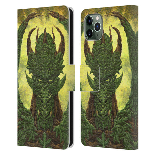 Ed Beard Jr Dragons Green Guardian Greenman Leather Book Wallet Case Cover For Apple iPhone 11 Pro Max