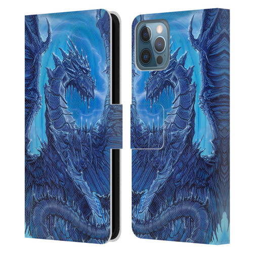 Ed Beard Jr Dragons Glacier Leather Book Wallet Case Cover For Apple iPhone 12 / iPhone 12 Pro