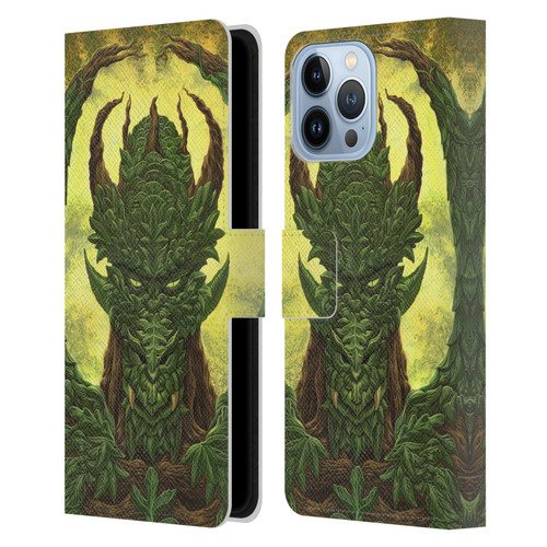 Ed Beard Jr Dragons Green Guardian Greenman Leather Book Wallet Case Cover For Apple iPhone 13 Pro Max