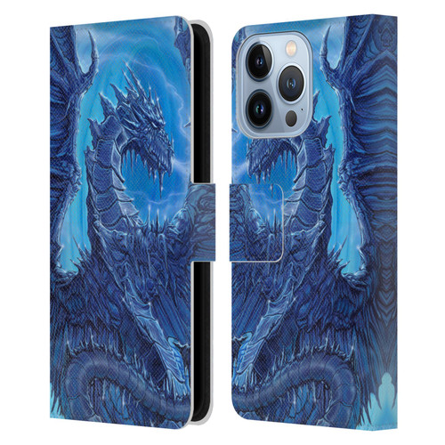 Ed Beard Jr Dragons Glacier Leather Book Wallet Case Cover For Apple iPhone 13 Pro