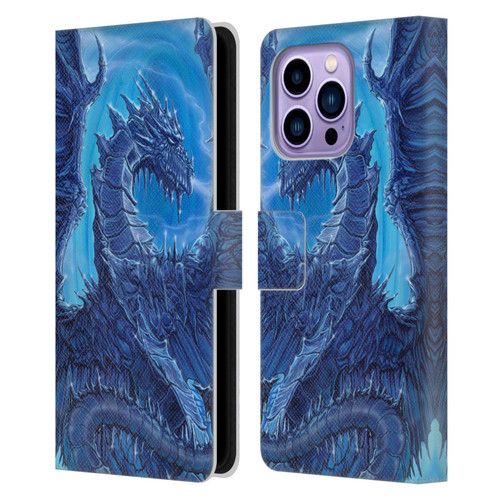 Ed Beard Jr Dragons Glacier Leather Book Wallet Case Cover For Apple iPhone 14 Pro Max