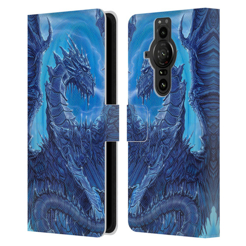 Ed Beard Jr Dragons Glacier Leather Book Wallet Case Cover For Sony Xperia Pro-I
