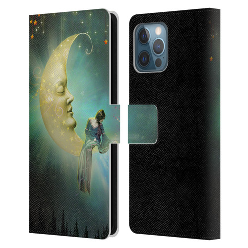 Jena DellaGrottaglia Assorted Star Leather Book Wallet Case Cover For Apple iPhone 12 Pro Max