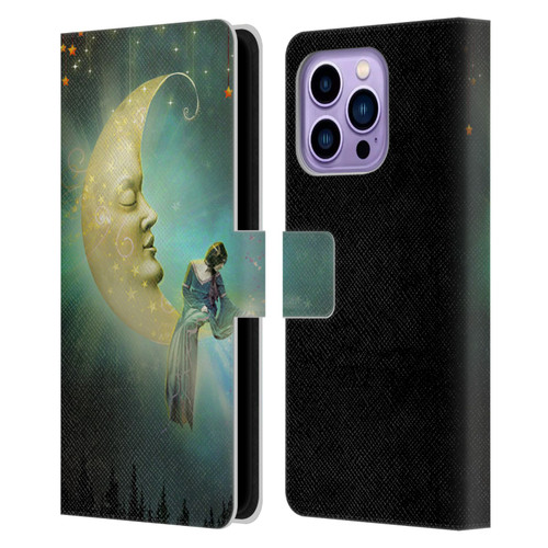 Jena DellaGrottaglia Assorted Star Leather Book Wallet Case Cover For Apple iPhone 14 Pro Max
